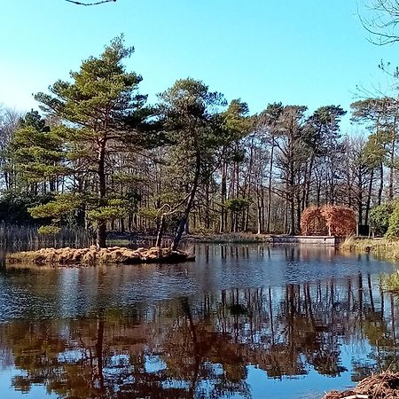 B&B Stripsein Wijnjewoude Esterno foto