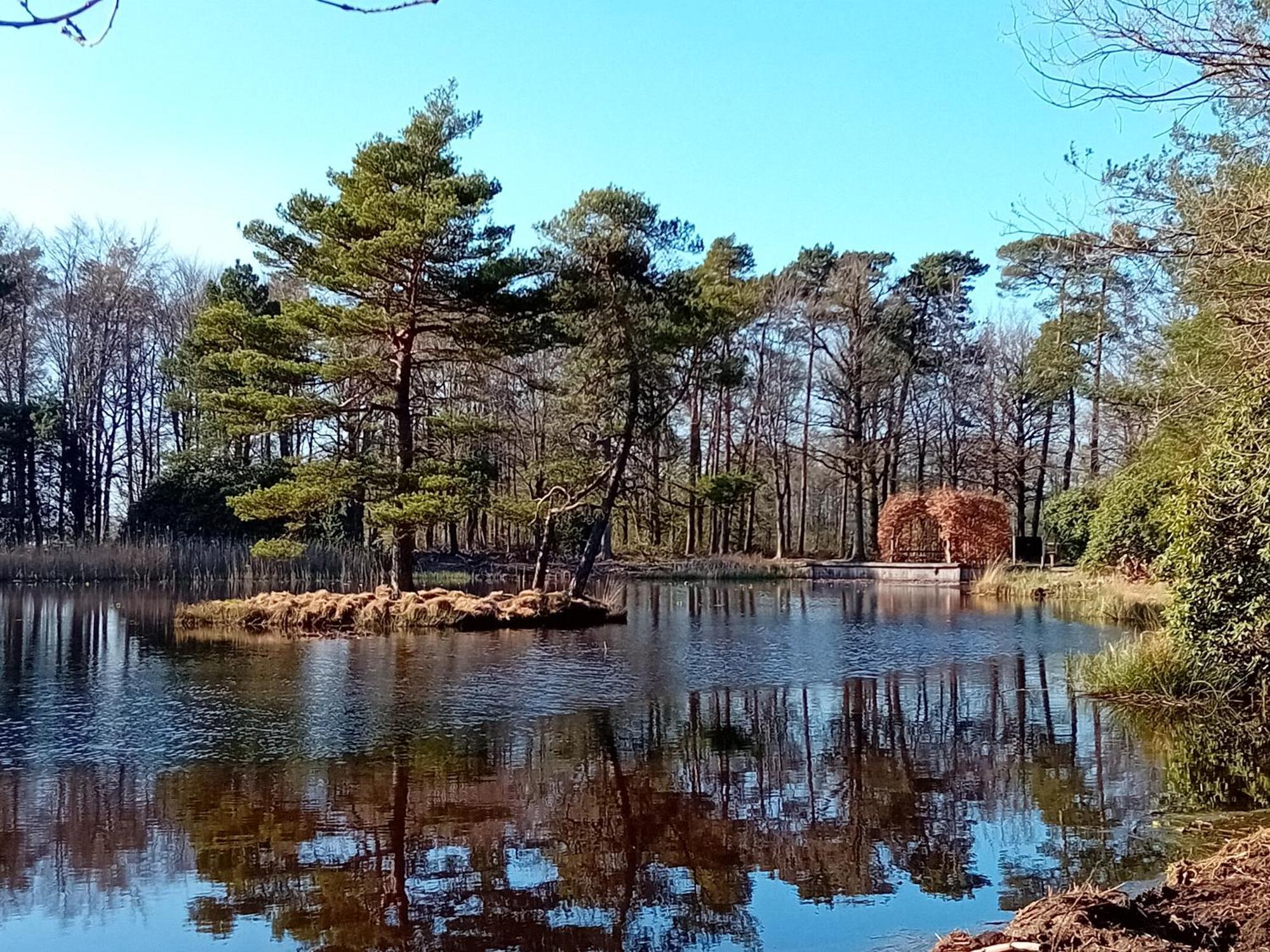 B&B Stripsein Wijnjewoude Esterno foto